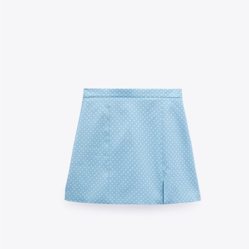 ZARA SKIRT